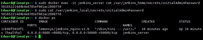 L_jenkins_nginx_02.jpg